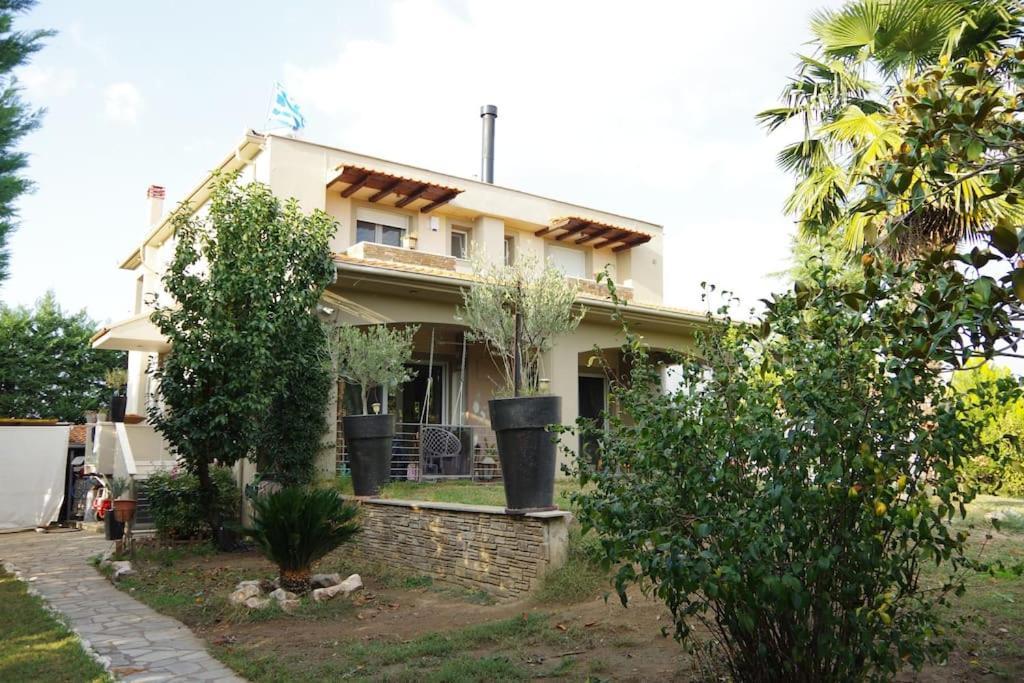 Villa Vasili Tríkala Extérieur photo